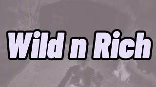 Lil Tjay - Wild n Rich (Remix) (Lyrics)