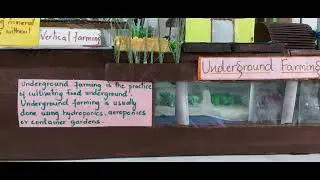 sustainable future #trending #youtube #youtuber #scienceproject #science #sustainability #project