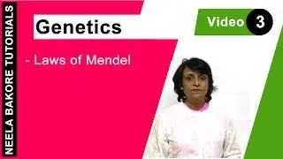 Laws of Mendel | Dominance Segregation Independent Assortment | NEET Biology Class 12 | Neela Bakore