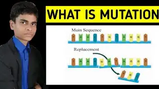 What is mutation? Concept explained with proper definition |