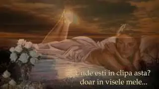 DACA AS PUTEA FI UNDE ESTI TU...