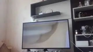 Барбоскины наоборот
