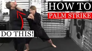 HOW TO PALM STRIKE CORRECTLY FOR SELF DEFENSE | Ninjutsu Martial Arts Training Techniques