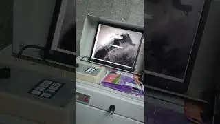 СБ метро москвы начали обучать.