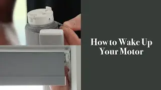 How to Wake Up Your Motor | BlindsbyPost