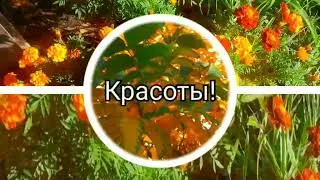 Красивой  Вам осени!