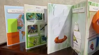 Лэпбук «Соловья за песни кормят»