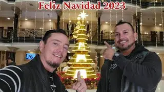 CONDUCTORES de TRAS BAMBALINAS  ⭐️ FELIZ NAVIDAD ⭐️ Les DESEAN