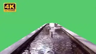 4k green video.