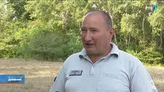 Nizak nivo podzemnih voda u Subotičkoj peščari ugrožava biljni i životinjski svet