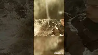 артефакт найден 