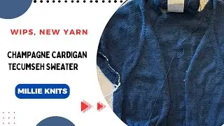 Champagne Cardigan, Colorwork Sweater and Mohair  #knitting Episode 66
