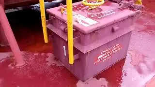 Нашествие пчел на сахар в трюме в Кениии