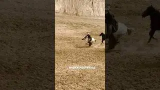 Бузкаши ш.Кулоб 22.10.2023 