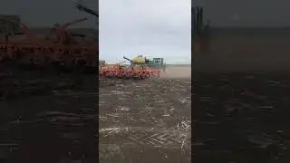 На омских полях фермеры вдохновились «Музой»