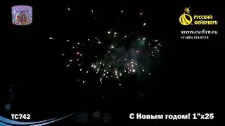 ТС742  С Новым годом! МОДУЛЬ