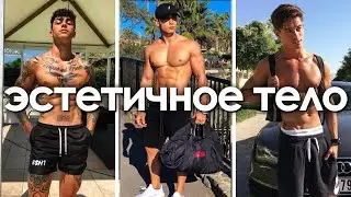 A GUIDE TO AN AESTHETIC BODY (FOR MEN)