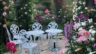 Трояндовий сад Ок 🌹🌹🌹