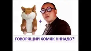 HD Говорящий Хомяк Провоцирует котЭ   Загон! КУПИТЬ!