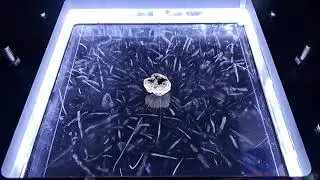 Really active Betafite cloud chamber (new version -44degC) Chambre a brouillard