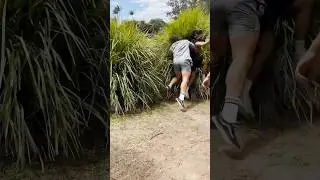When you watch too much Rugby! 😂 #funny #shorts #shortsvideo