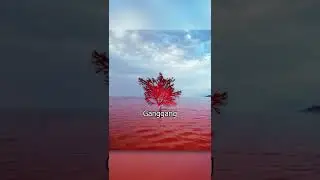 3 Strange Things Recorded on Google Maps