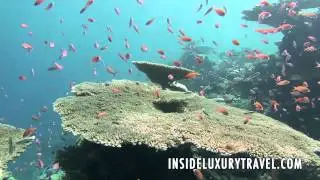 Maldives - Scuba diving
