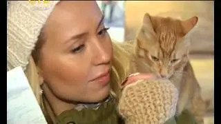 SASHA & КАША. Мирное меню от человека мира