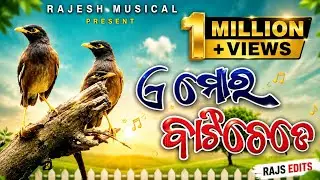 A mor bati chede Old koraputia song || Cover Song Rajesh Musical Present || Rajesh lahara ||