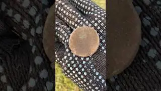 Думал империя, а оказалось… 