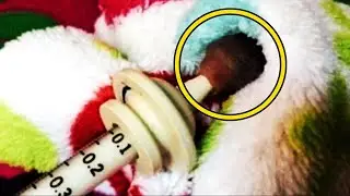 The child brought a creature the size of a little finger. Just look at him now!