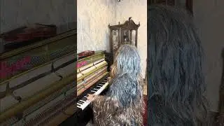 Chewbacca plays Still D.R.E.