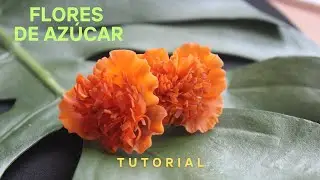 📍 Sugar flowers step by step | How to make sugar flowers to decorate a cake.