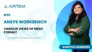 Various view of mesh format - Ansys Workbench #30