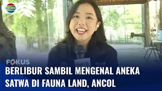 Live Report: Berlibur Sekaligus Edukasi Mengenal Aneka Satwa di Fauna Land | Fokus