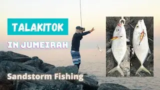 Fishing in Jumeirah | Jigging | Light Set-up | Talakitok Orange Spotted Trevally