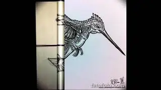 Эскизы тату колибри - коллекция интересных рисунков для татуировки