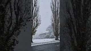 #snow #winterspecial #germany