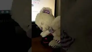 Самая Тупая Игра в Мире