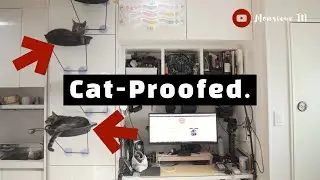 How to Cat-Proof Your Computer Gaming/Office Work Area!