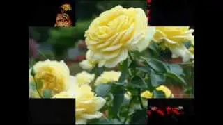 Ко дню святого Валентина