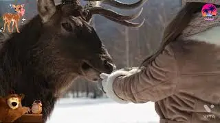 Very Cutest And Beautiful Deer 🦌 Video//Deer Family Playing With Snow Place Nice Video 2021