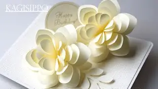 pop-up card__double white flowers