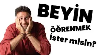 Beyin Öğrenmek İster Misin?