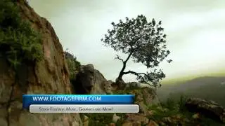 Footage Firm Free Nature Dolly Stock Footage: Mountainside