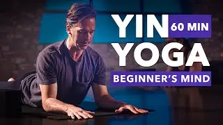 60 Min Yin Yoga 'Beginners Mind' l Stretch Low Back, Spine and Hips