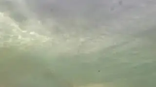 горит сено в поле