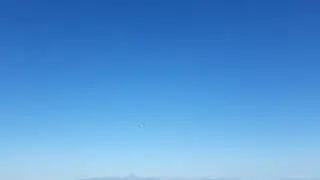FLY FLY MINI FREE BIRD ON THE SLOPE