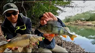 Niezapomniana przygoda na rzece: Okonie, klenie i karp na ultralekki spinning.