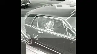 [FREE]  type beat mne pohuyi) TRAVEL DOG